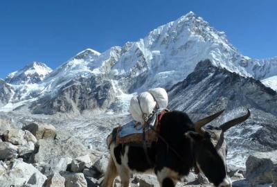 Everest Trekking