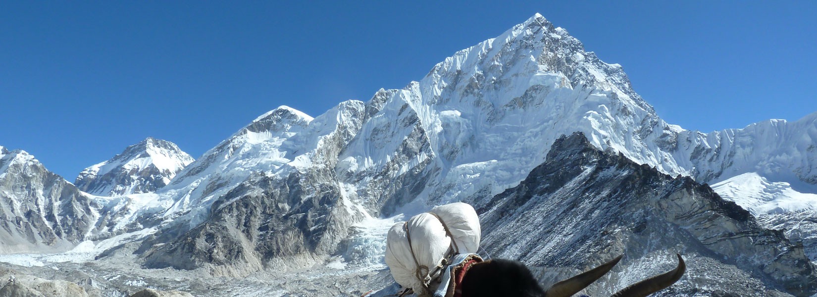 Everest Trekking