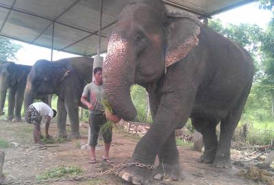 Chitwan National Park